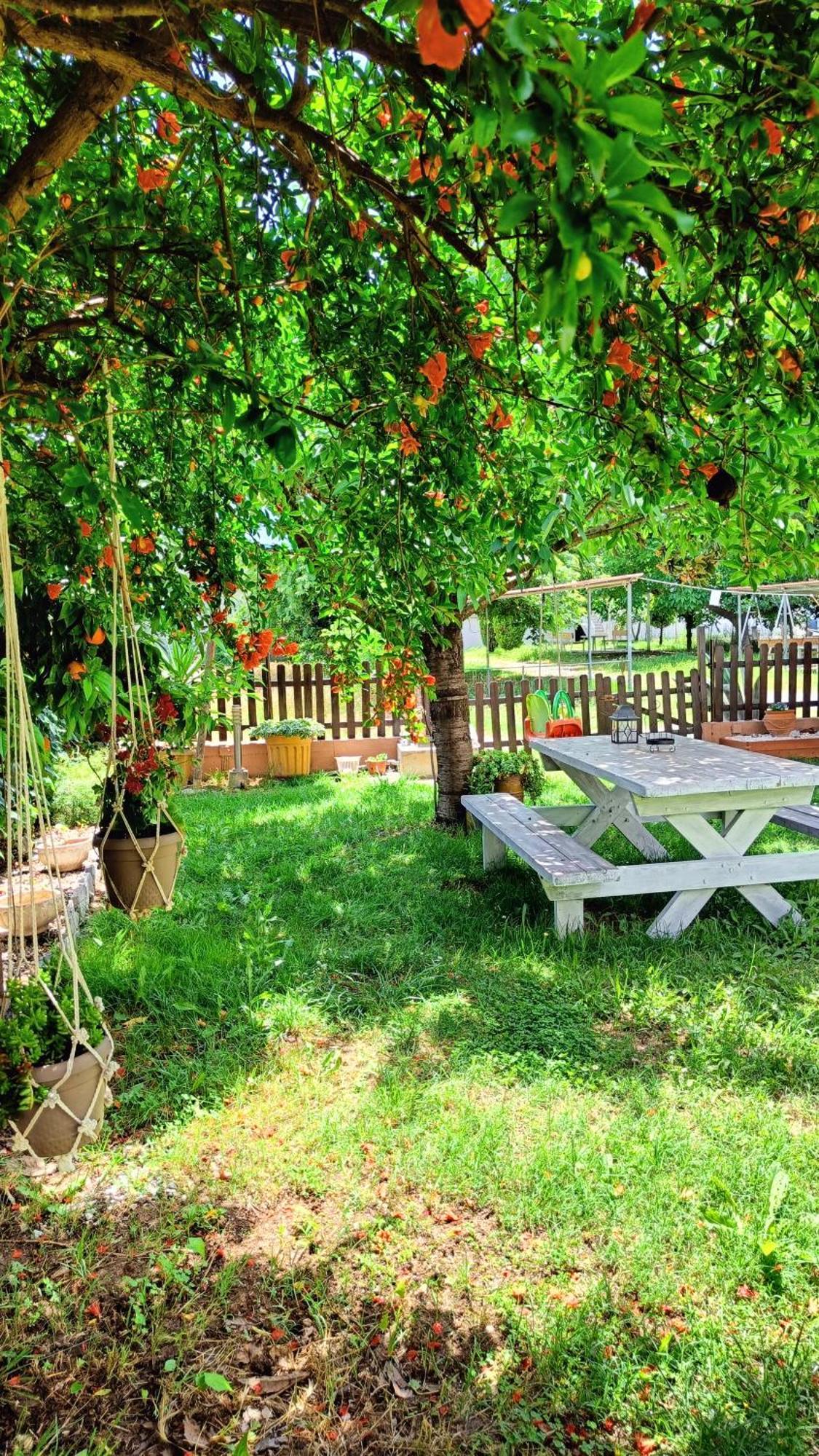 Garden House Katerina Aparthotel Leptokarya  Exterior foto